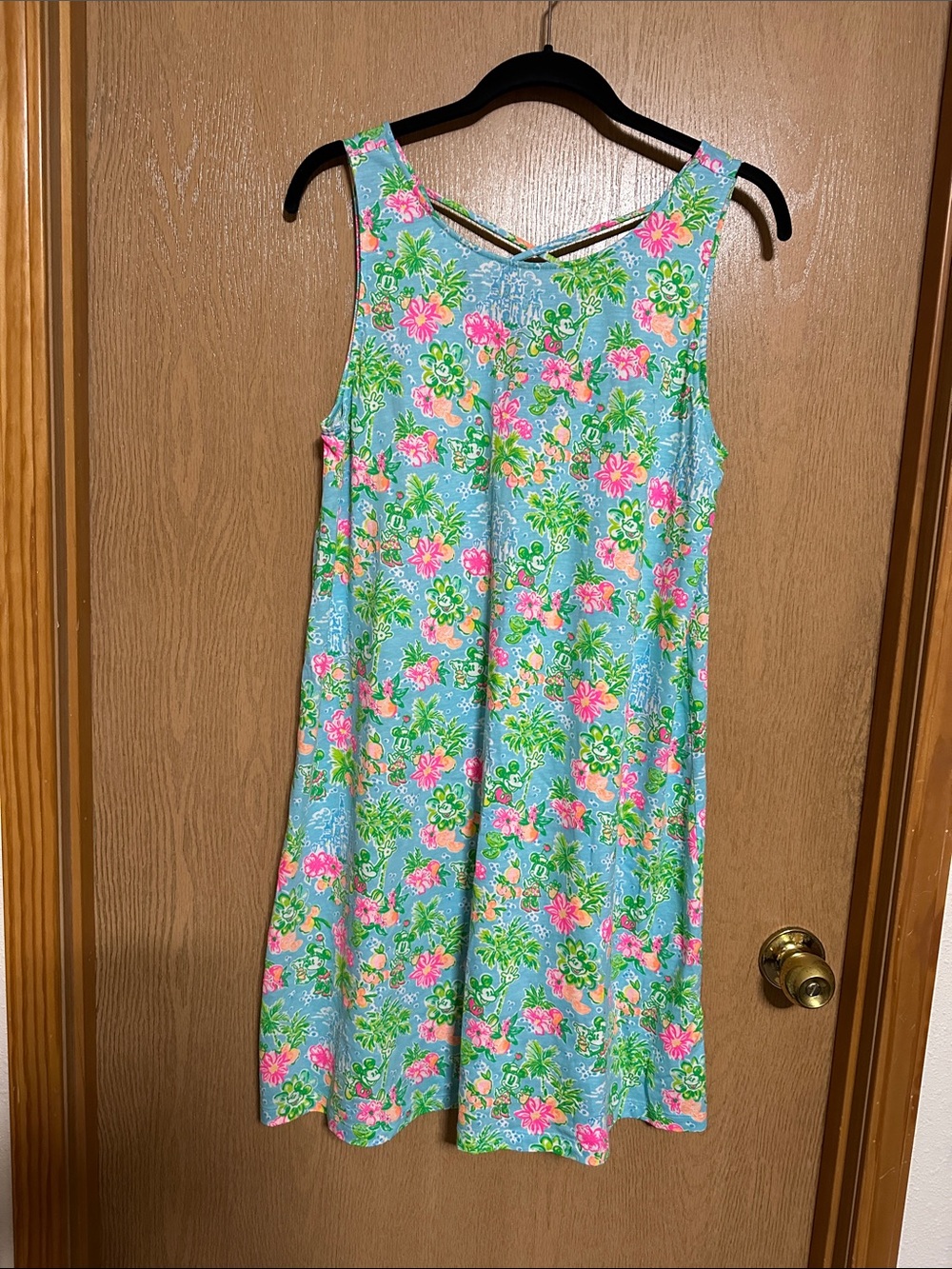 Lilly Pulitzer x Disney Kristen swing dress large